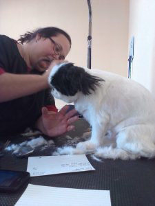 Chandler, AZ Dog Groomers who care about your dogs.