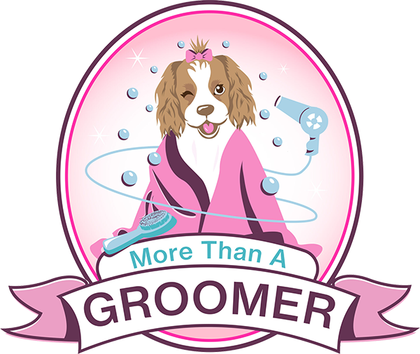 Chandler Dog Grooming | More Than a Groomer